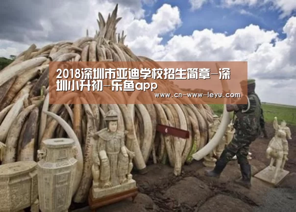 leyu下载